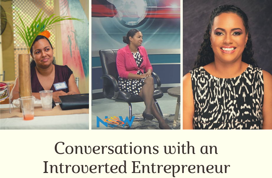 Conversations with an Introverted Entrepreneur